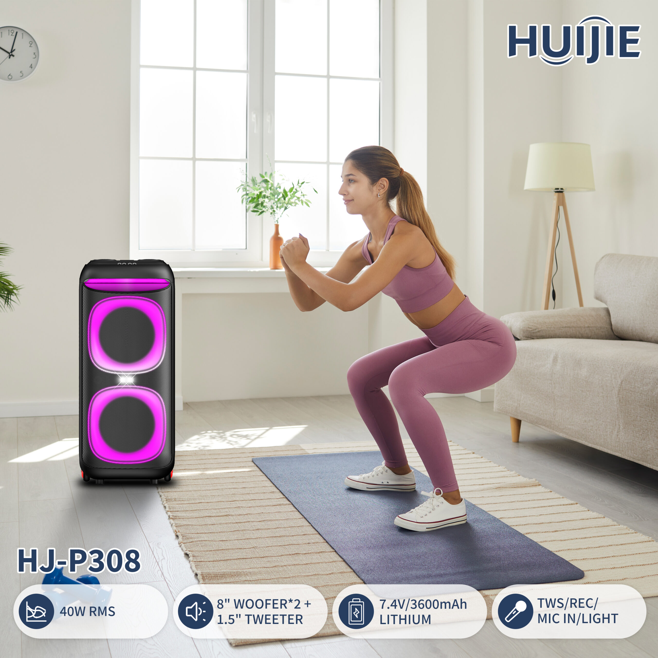 HJ-P308 Double 8-Inch Party Speaker