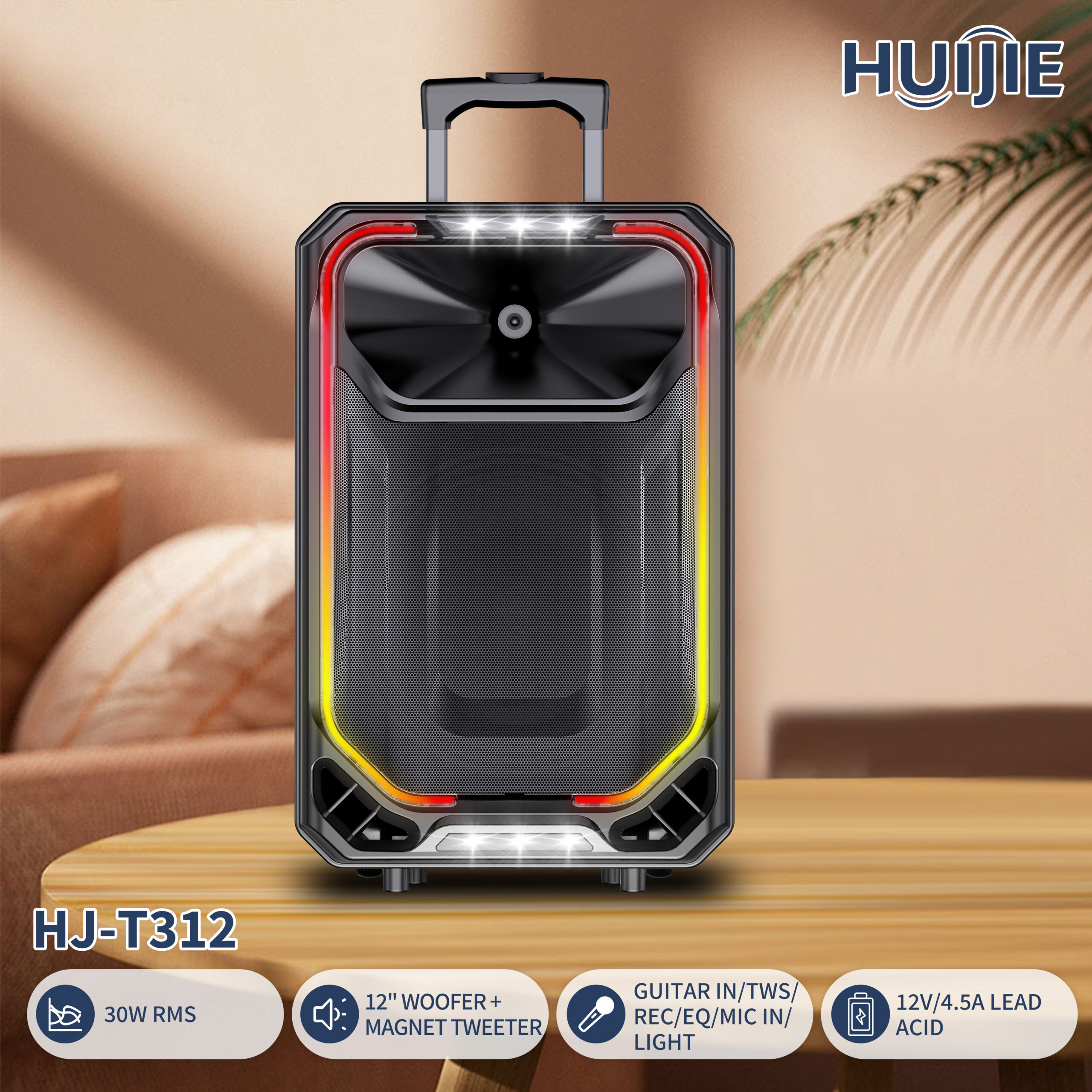 HJ-T312 12-Inch Party Speaker